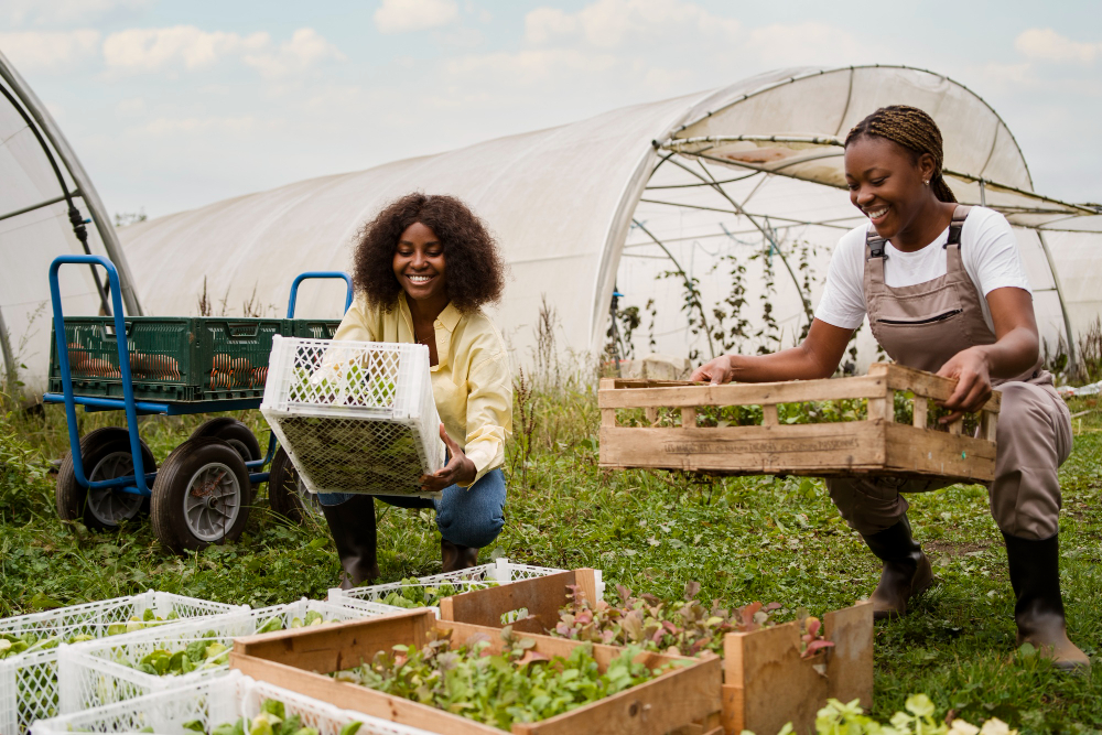 Agriculture & Food Security